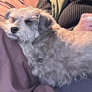 Meet your Posher, Dayna